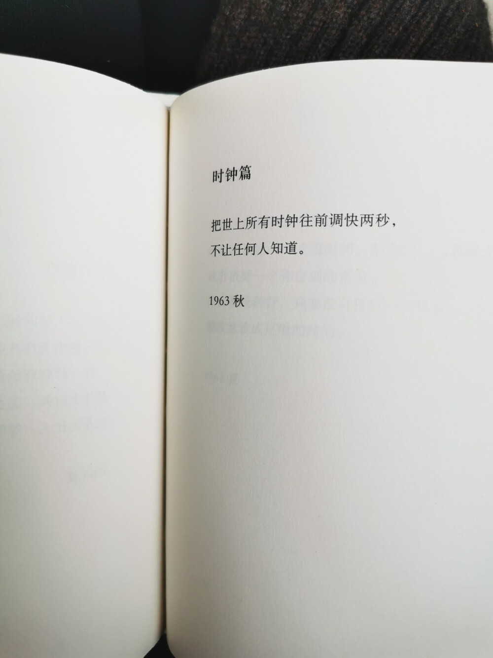 《葡萄柚》 一本指令与图画书