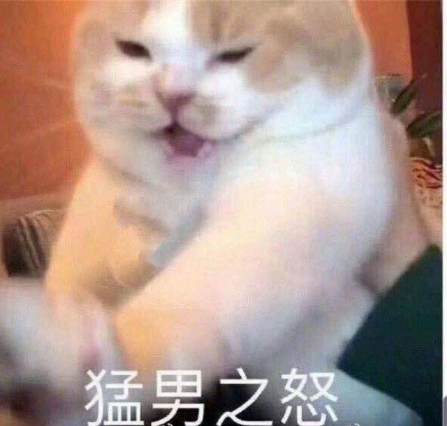 沙雕表情包 高糊