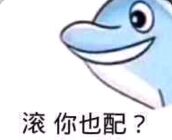 海豚表情包