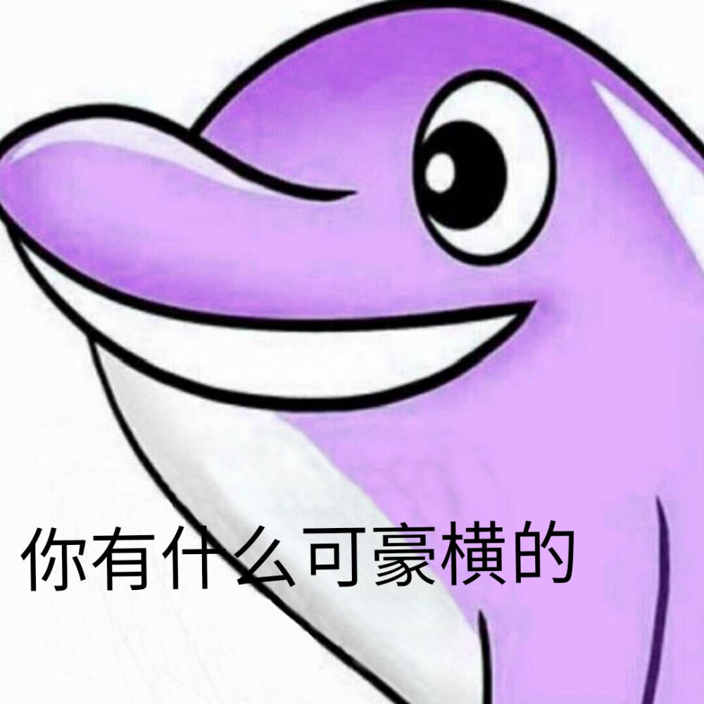 海豚表情包