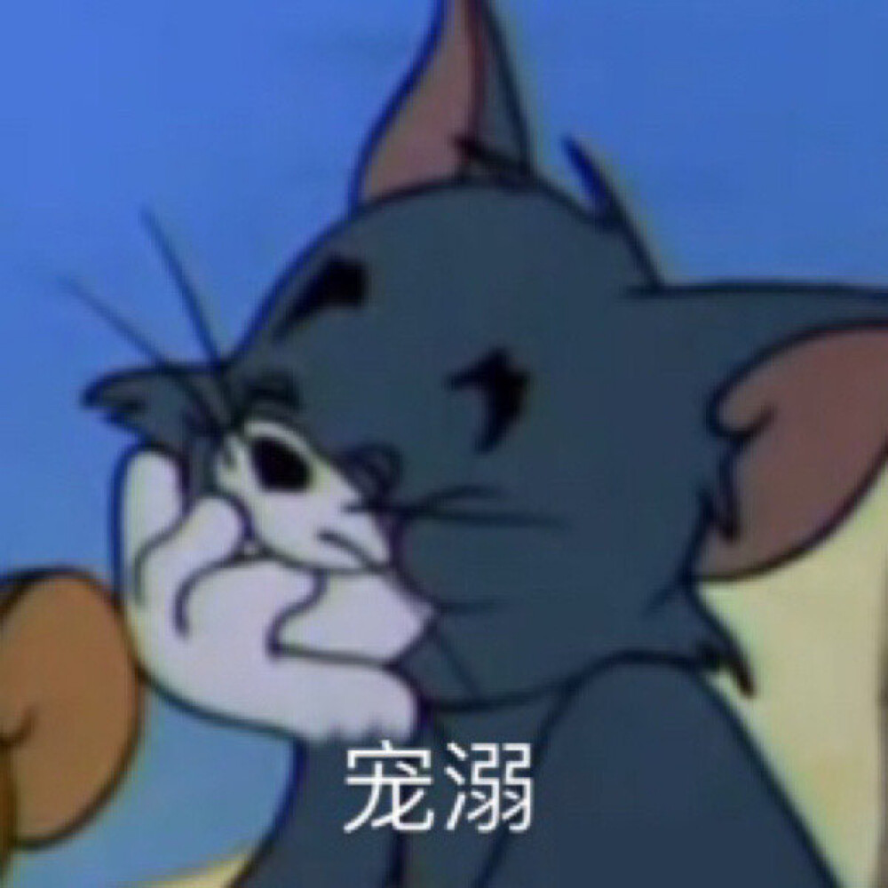 tom jerry