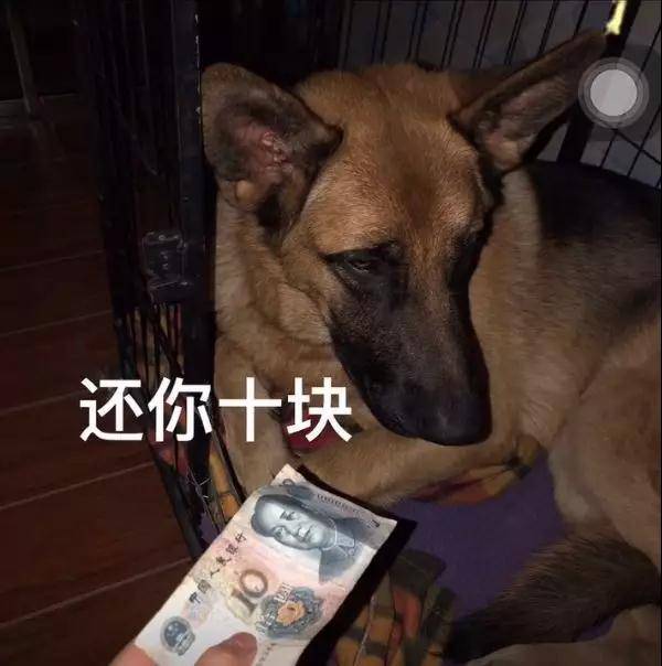 表情包沙雕