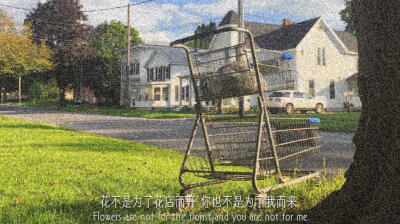 所有让你难过的人
都曾让你感到快乐