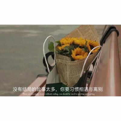 最大的欢喜是你
最大的遗憾也是你