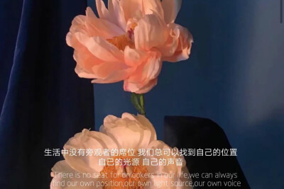 今天开心明天更开心
今天不开心没关系明天肯定会开心