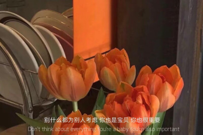 今天开心明天更开心
今天不开心没关系明天肯定会开心