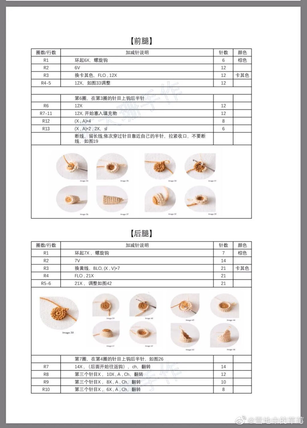 狮子12