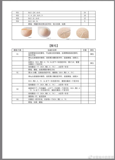 狮子12