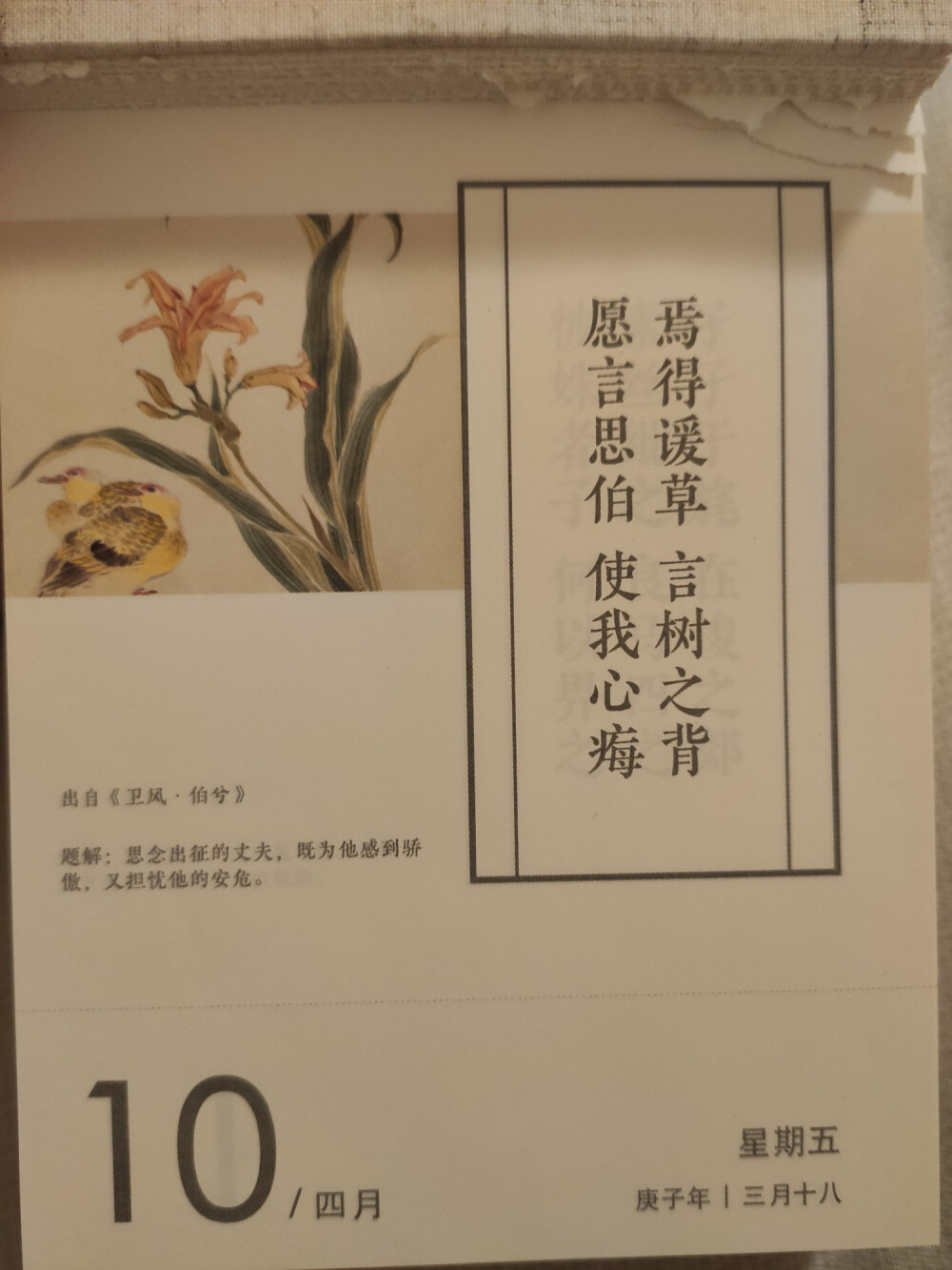 第101日，中年危机