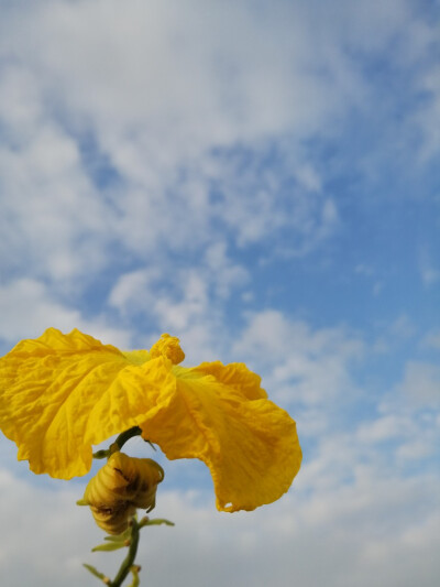 背景小日程