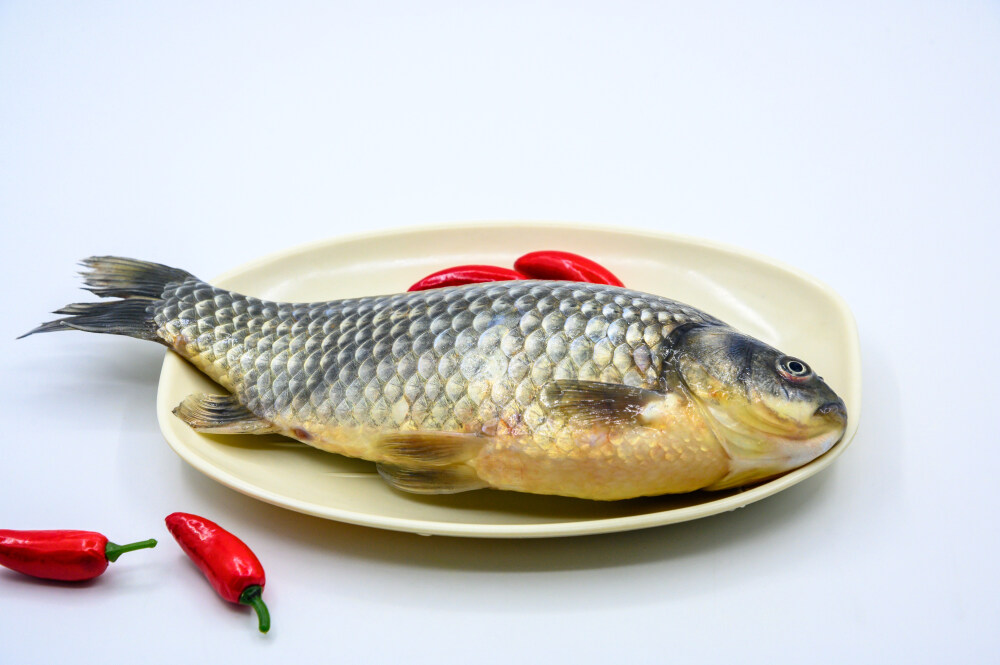 鲫鱼 生物 水生生物 水产品 海产品 鱼类 海鲜 狗杠鱼 推浪鱼 沙逛鱼 地龙鱼 天浪鱼 光鱼 海鱼 新鲜 动物 海洋动物 室内 食材 食物 待加工 烹饪 野生鱼 捕捞 特写 黑色背景 容器 简单背景 白瓷盘 瓷器 整条鱼 饮食 营养丰富 中国 葱 大葱 蒜 大蒜 辣椒 红色 辛辣 佐料 调料
