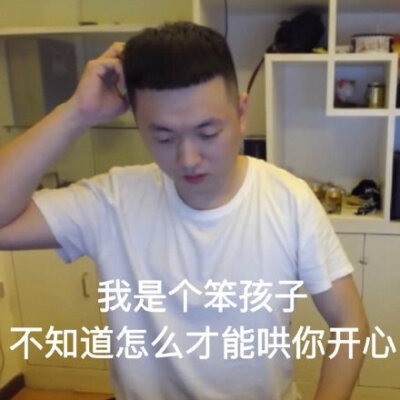 我是个笨孩子不知道怎么才能哄你开心(药酱药水哥表情包)