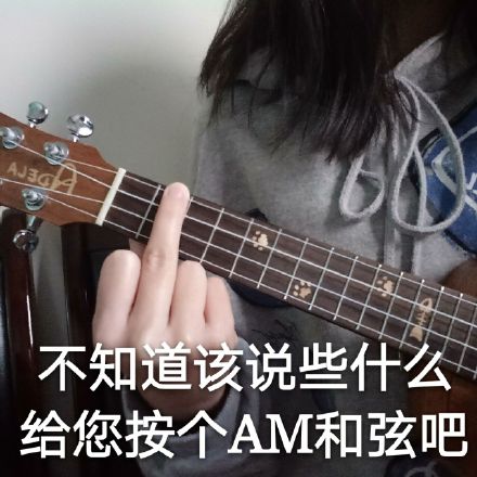 不知道该说些什么给您按个am和弦吧中指鄙视表情包