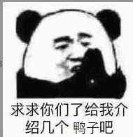 求求你们了，给我介绍几个鸭子吧