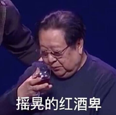 摇晃的红酒杯（春晚表情包 卑微）