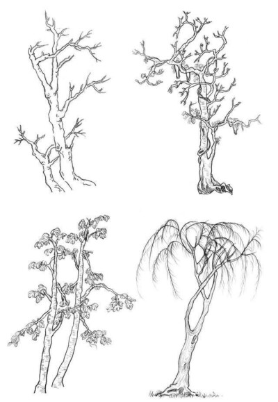 钢笔植物建筑速写