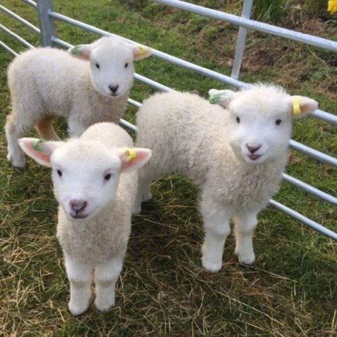 
ᴹᵉᵉᵗ ʸᵒᵘ ˡⁱᵏᵉ ᵗʰᵉ ʷⁱⁿᵈ