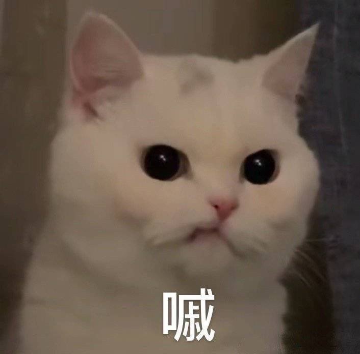 沙雕表情包 熊猫头 可爱 土味