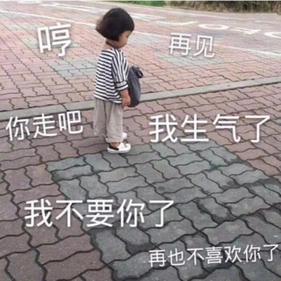 生气了，不要你了