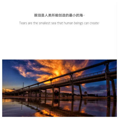 云朵偷喝了我放在屋顶的酒
于是她脸红变成了晚霞