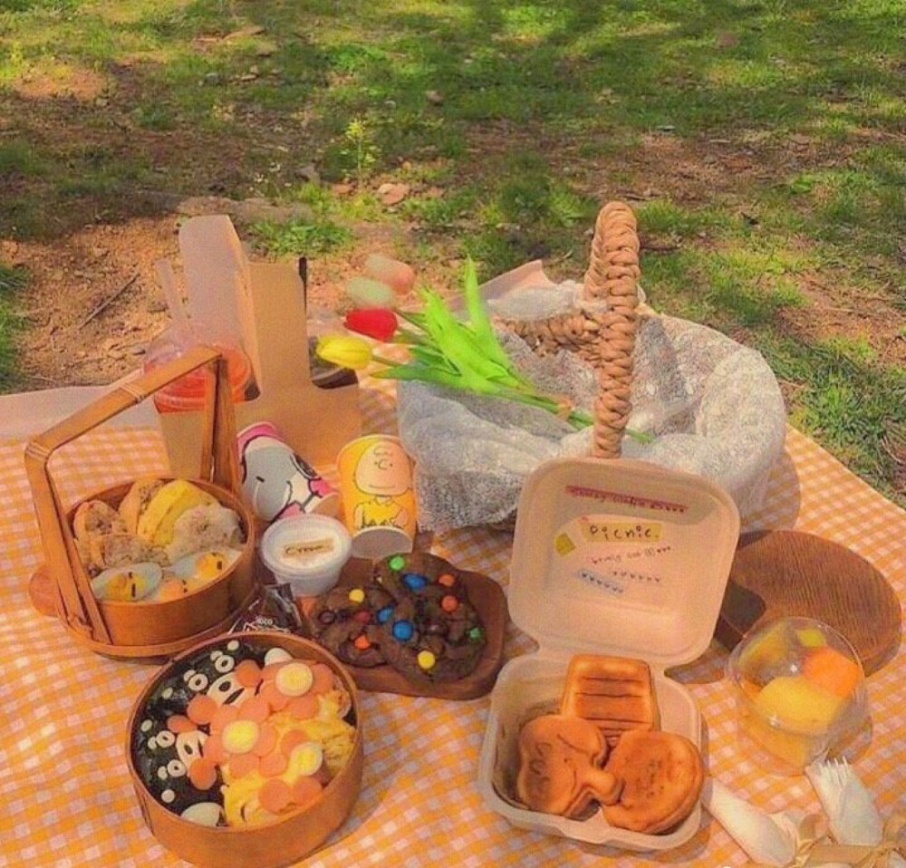 野餐