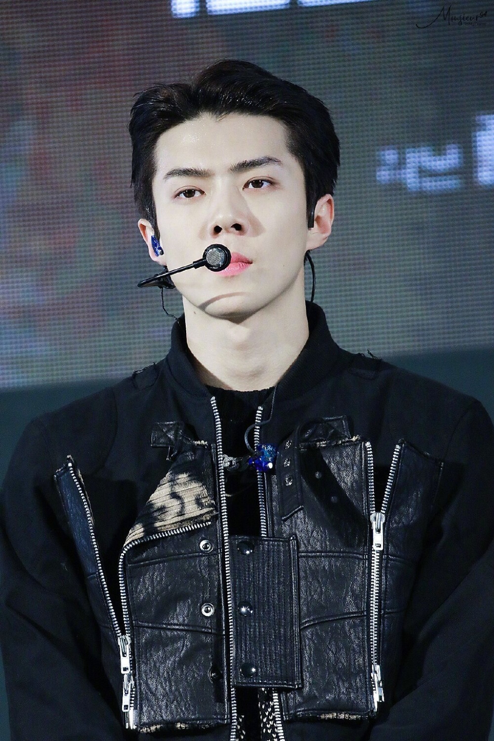 EXO 奶包 sehun 吴世勋 #壁纸 #头像