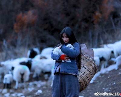 李子柒 “李家有女，名唤子柒”