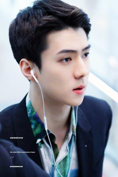 0412号sehun