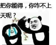 把你能得，你咋不上天呢