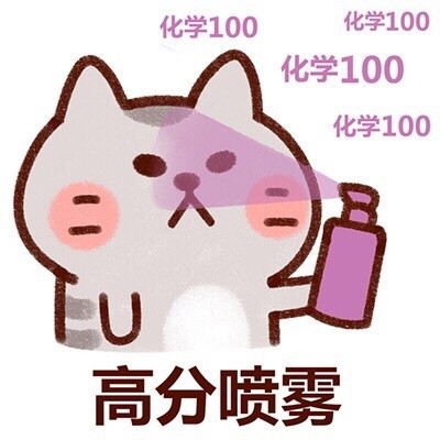 高考高分喷雾：化学100