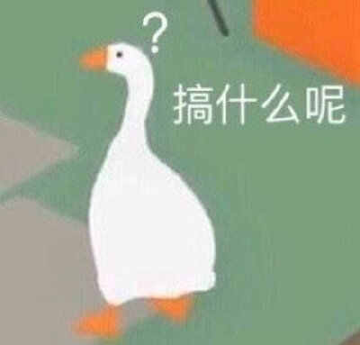 搞什么呢（大白鹅表情包）