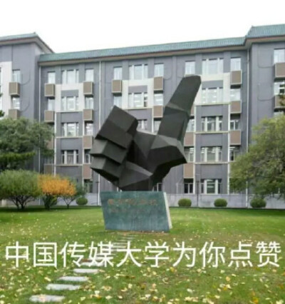 中国传媒大学为你点赞