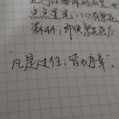 假如我年少有为/手写