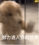 满意