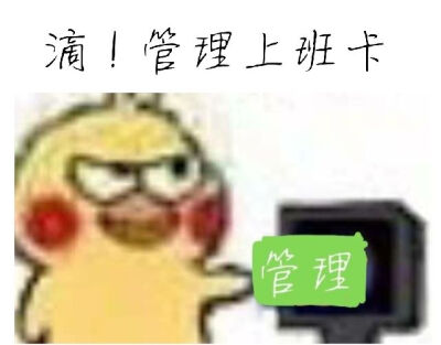 dt江绾柒