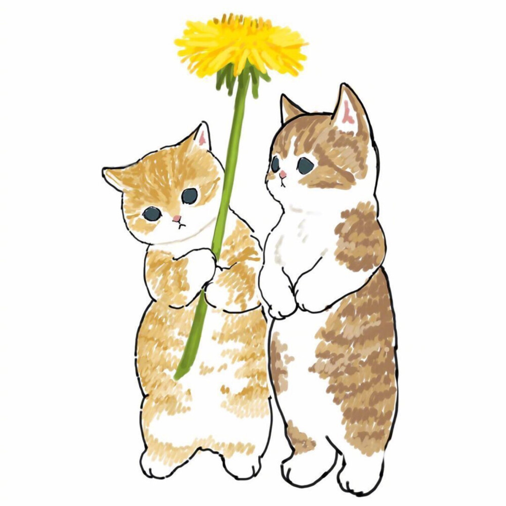 今日份治愈系猫猫插画