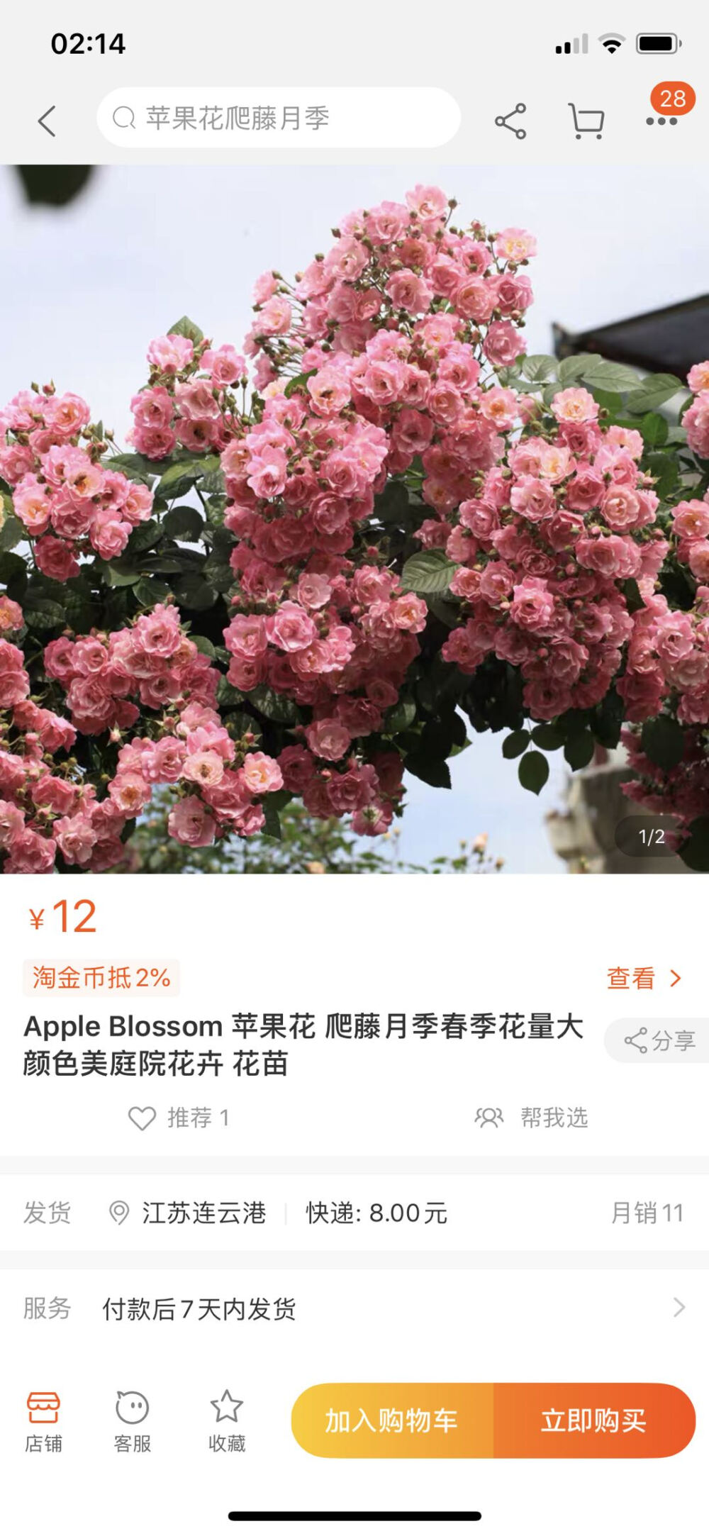 帝王花