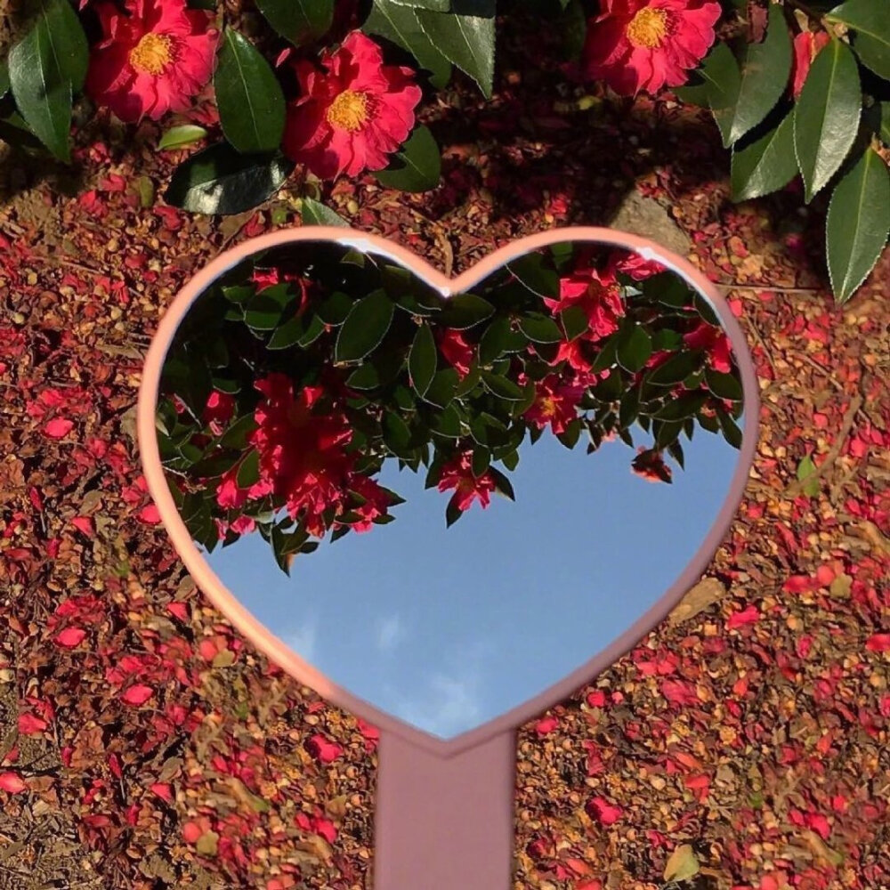 算作背景图或者动态朋友圈配图都可以的呐，可以拿图