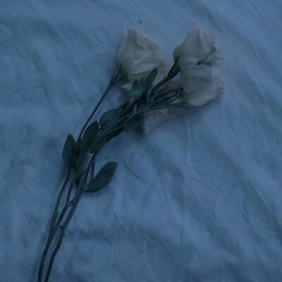 算作背景图或者动态朋友圈配图都可以的呐，可以拿图