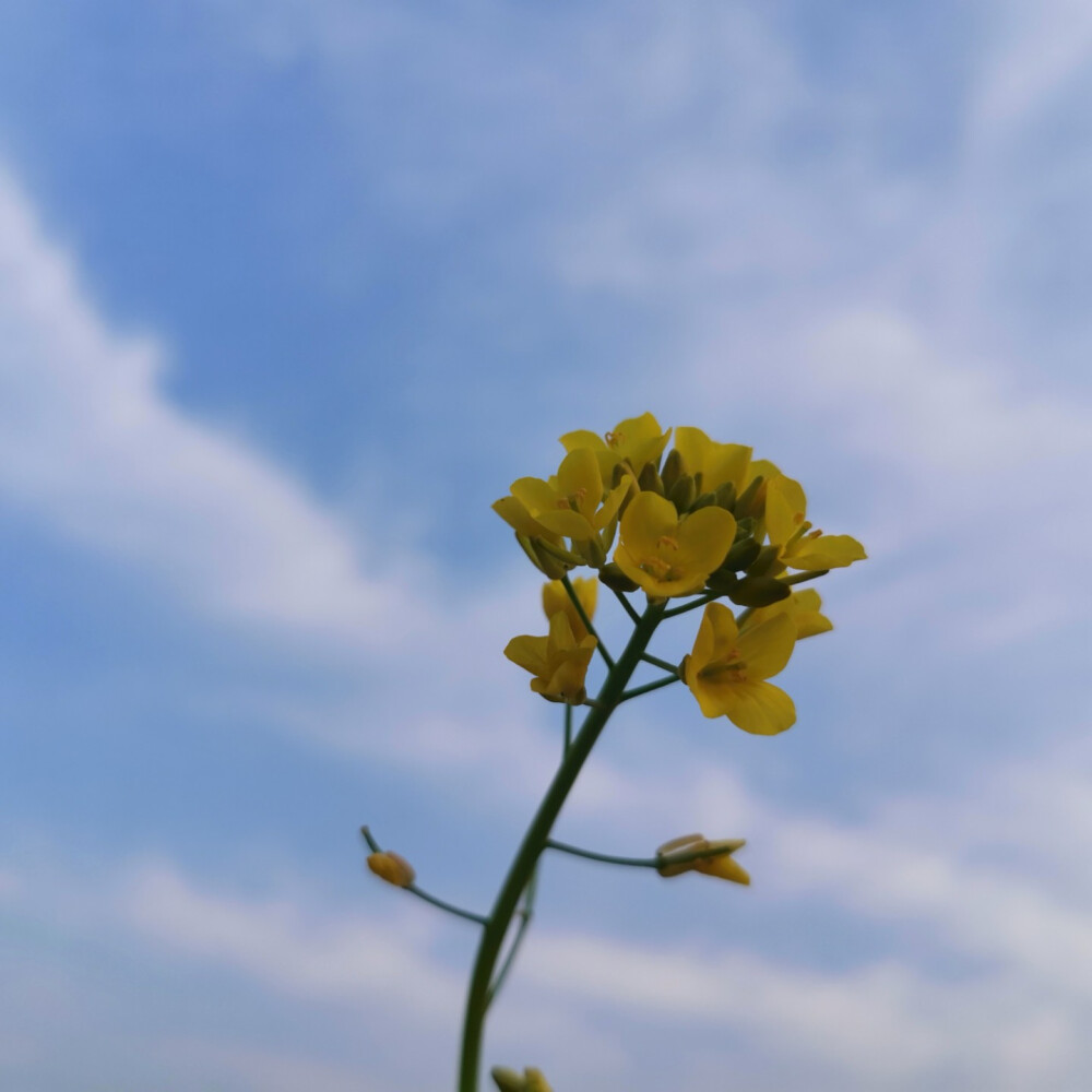 背景 壁纸