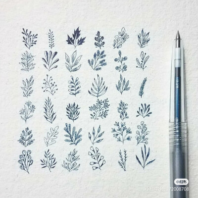 ins & pinterest
草木系手绘
