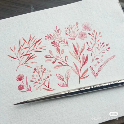 ins & pinterest
草木系手绘