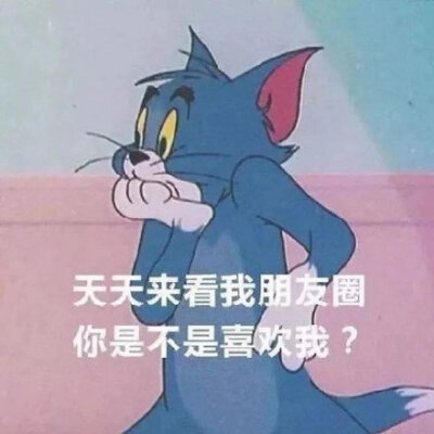 天天来看我朋友圈，你是不是喜欢我（汤姆猫）