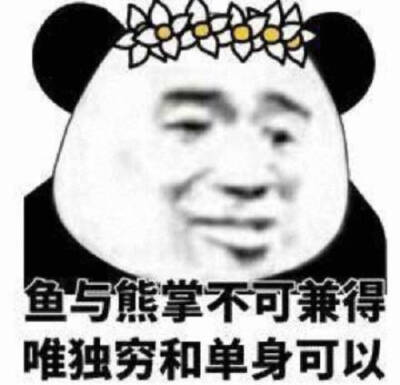 迫与熊掌不可兼唯独穷和单身可以