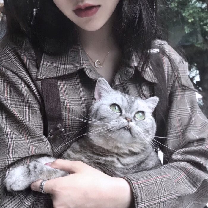 女头＋猫猫