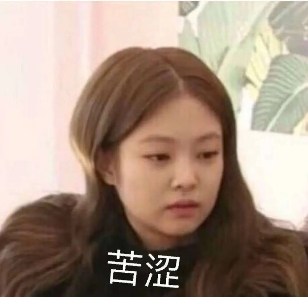 blackpink jennie 金智妮表情包