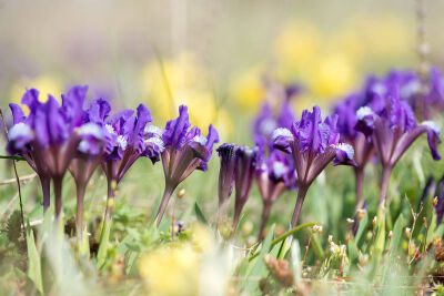 春季风景-macw图库素材
超清原图下载：https://sc.macw.com/atlas/4418_1.html
风景是指可见的地表景色，包括地貌的特征、动物、植物、自然现象，如闪电、气候现象，以及人类的活动，如建筑物等。更多超清原图欢迎到…