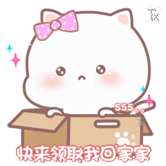不能挡水印