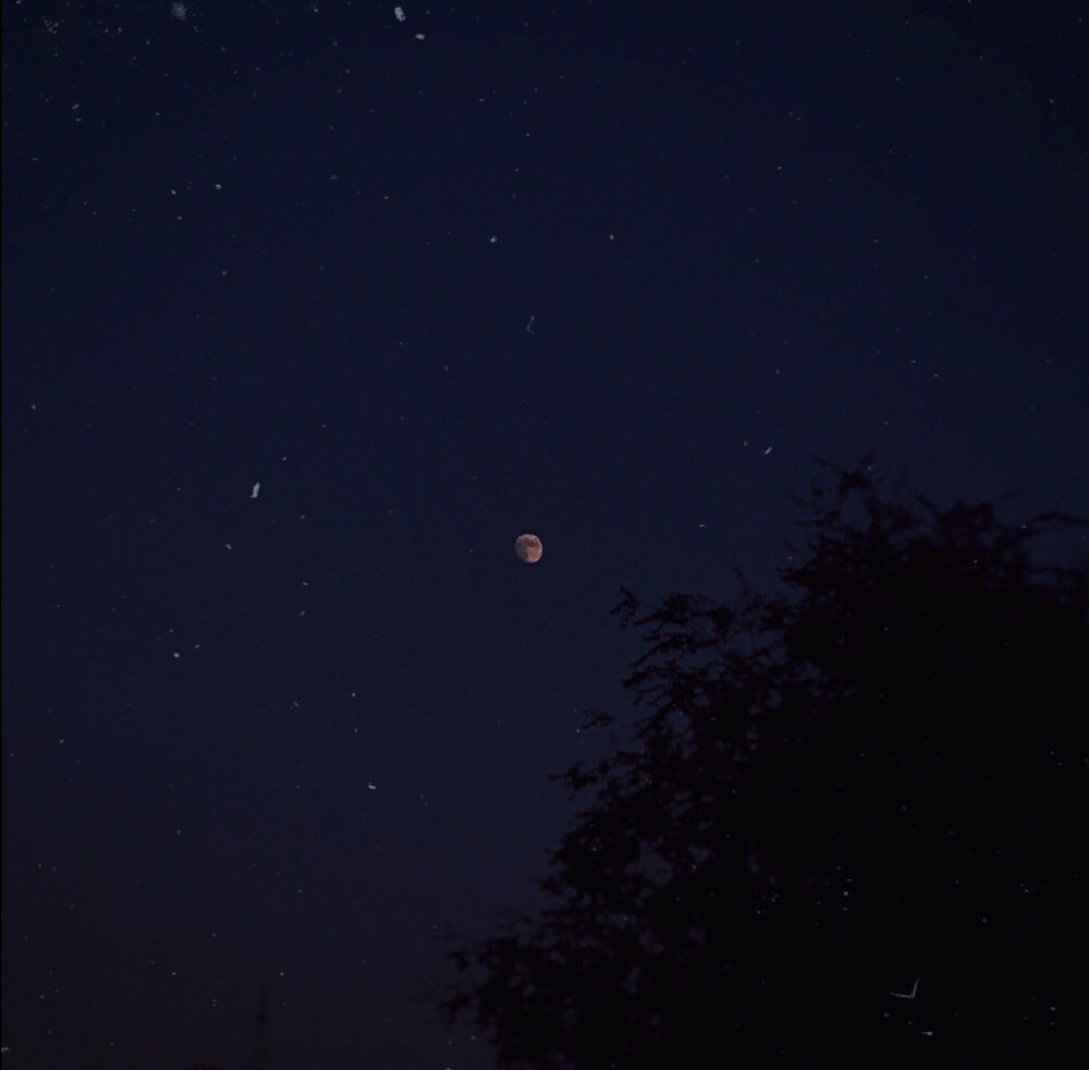 星空 月亮 太阳 背景