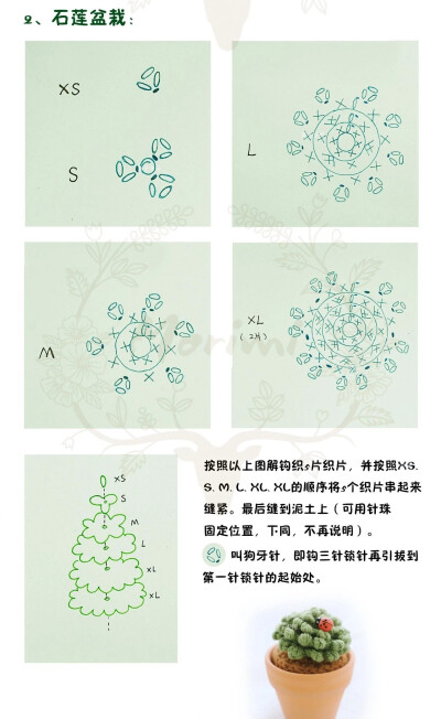 仙人掌多肉盆栽